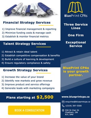 Fractional Management Consulting by BluePrint CPAs