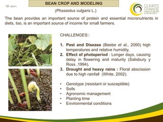 Using multi-site experimental data for seasonal forecasting and future conditions of crop yield