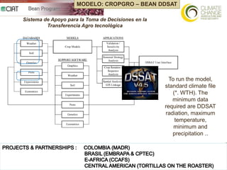 Using multi-site experimental data for seasonal forecasting and future conditions of crop yield
