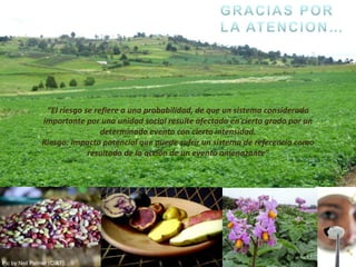 Using multi-site experimental data for seasonal forecasting and future conditions of crop yield