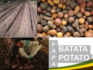 Using multi-site experimental data for seasonal forecasting and future conditions of crop yield