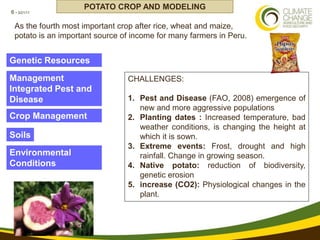 Using multi-site experimental data for seasonal forecasting and future conditions of crop yield