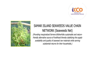 SAMAR ISLAND SEAWEEDS VALUE CHAIN
       NETWORK (Seaweeds Net)
(Providing marginalized farmers &fisherfolks sustainable and nature-
friendly alternative source of livelihood thereby stabilizing the supply
    availability and quality of seaweed raw materials while earning
                 substantial returns for their households.)
 