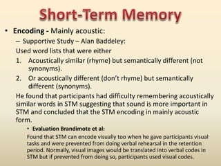 A-Level Psychology: Multi Store Memory Model - New Spec | PPTX