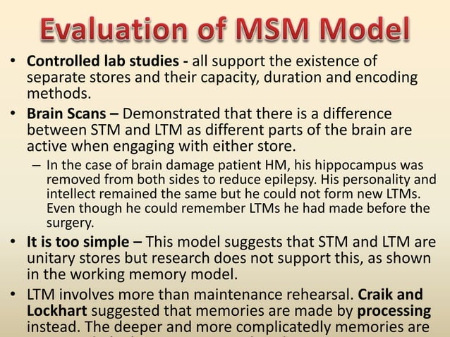 A-Level Psychology: Multi Store Memory Model - New Spec | PPTX | Data ...