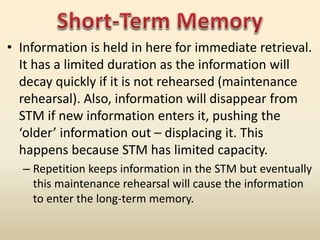 A-Level Psychology: Multi Store Memory Model - New Spec | PPTX