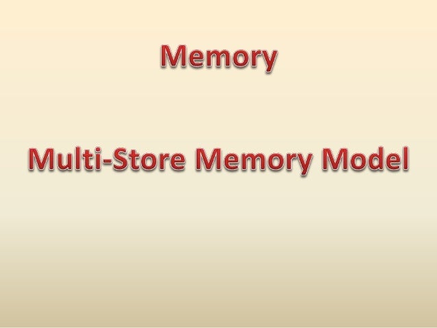 A Level Psychology Multi Store Memory Model New Spec