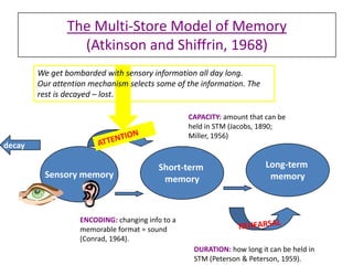 The Multi-Store Model of Memory
                 (Atkinson and Shiffrin, 1968)
        We get bombarded with sensory information all day long.
        Our attention mechanism selects some of the information. The
        rest is decayed – lost.

                                                  CAPACITY: amount that can be
                                                  held in STM (Jacobs, 1890;
                                                  Miller, 1956)
decay

                                         Short-term                     Long-term
         Sensory memory                   memory                         memory



                   ENCODING: changing info to a
                   memorable format = sound
                   (Conrad, 1964).
                                                   DURATION: how long it can be held in
                                                   STM (Peterson & Peterson, 1959).
 