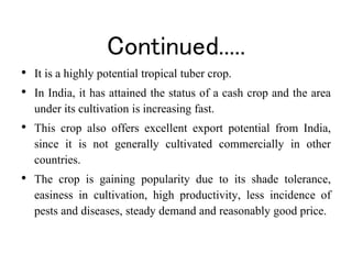 Continued.....
• It is a highly potential tropical tuber crop.
• In India, it has attained the status of a cash crop and the area
under its cultivation is increasing fast.
• This crop also offers excellent export potential from India,
since it is not generally cultivated commercially in other
countries.
• The crop is gaining popularity due to its shade tolerance,
easiness in cultivation, high productivity, less incidence of
pests and diseases, steady demand and reasonably good price.
 