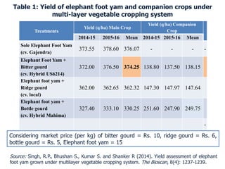 Considering market price (per kg) of bitter gourd = Rs. 10, ridge gourd = Rs. 6,
bottle gourd = Rs. 5, Elephant foot yam = 15
Treatments
Yield (q/ha) Main Crop
Yield (q/ha) Companion
Crop
2014-15 2015-16 Mean 2014-15 2015-16 Mean
Sole Elephant Foot Yam
(cv. Gajendra)
373.55 378.60 376.07 - - - -
Elephant Foot Yam +
Bitter gourd
(cv. Hybrid US6214)
372.00 376.50 374.25 138.80 137.50 138.15
Elephant foot yam +
Ridge gourd
(cv. local)
362.00 362.65 362.32 147.30 147.97 147.64
Elephant foot yam +
Bottle gourd
(cv. Hybrid Mahima)
327.40 333.10 330.25 251.60 247.90 249.75
-
Source: Singh, R.P., Bhushan S., Kumar S. and Shanker R (2014). Yield assessment of elephant
foot yam grown under multilayer vegetable cropping system. The Bioscan, 8(4): 1237-1239.
Table 1: Yield of elephant foot yam and companion crops under
multi-layer vegetable cropping system
 