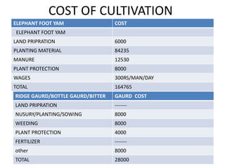 COST OF CULTIVATION
ELEPHANT FOOT YAM COST
ELEPHANT FOOT YAM
LAND PRIPRATION 6000
PLANTING MATERIAL 84235
MANURE 12530
PLANT PROTECTION 8000
WAGES 300RS/MAN/DAY
TOTAL 164765
RIDGE GAURD/BOTTLE GAURD/BITTER GAURD COST
LAND PRIPRATION -------
NUSURY/PLANTING/SOWING 8000
WEEDING 8000
PLANT PROTECTION 4000
FERTILIZER -------
other 8000
TOTAL 28000
 