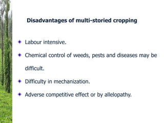 Labour intensive.
Chemical control of weeds, pests and diseases may be
difficult.
Difficulty in mechanization.
Adverse competitive effect or by allelopathy.
Disadvantages of multi-storied cropping
 