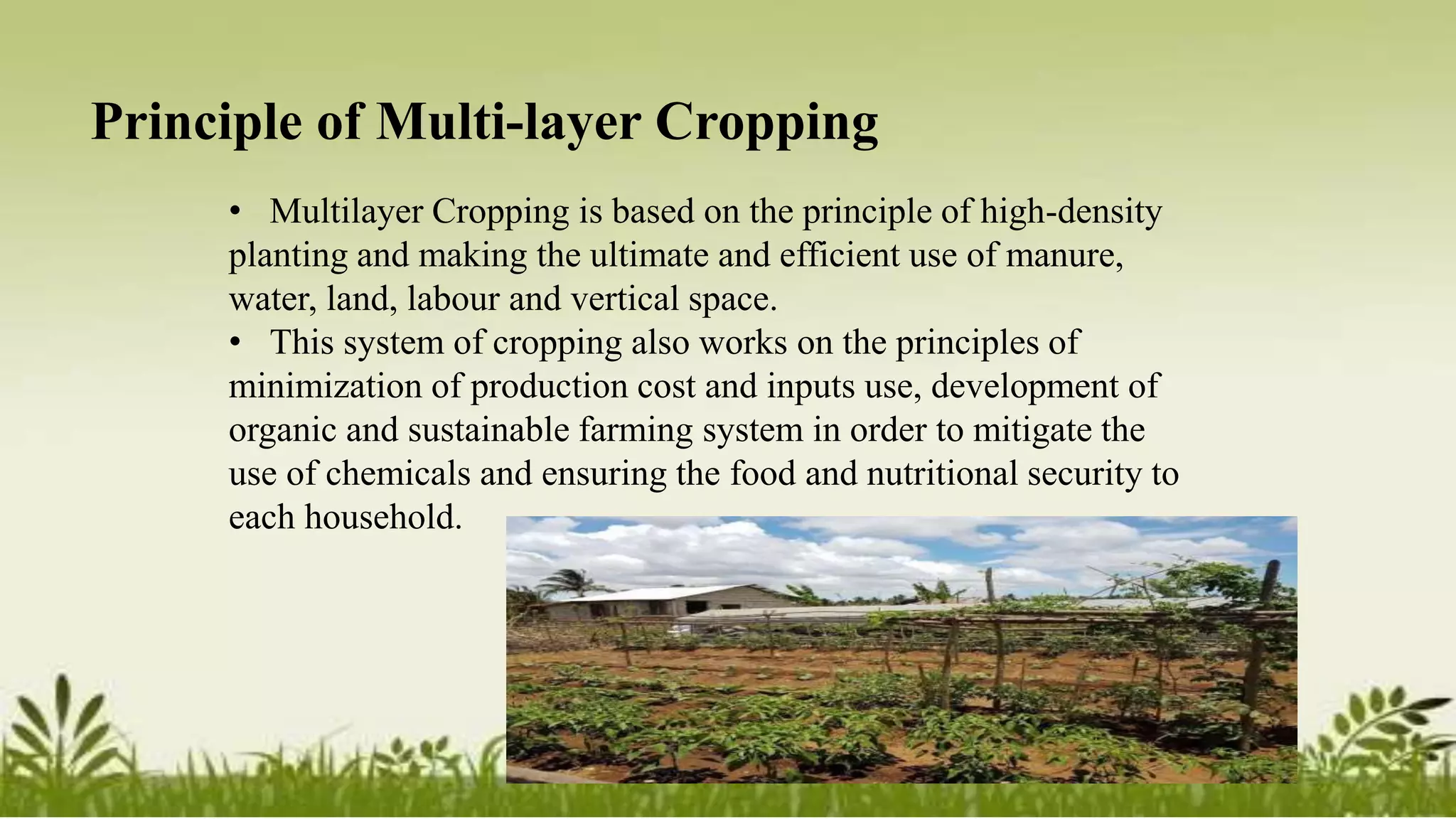 Multi-tire Farming.pptx