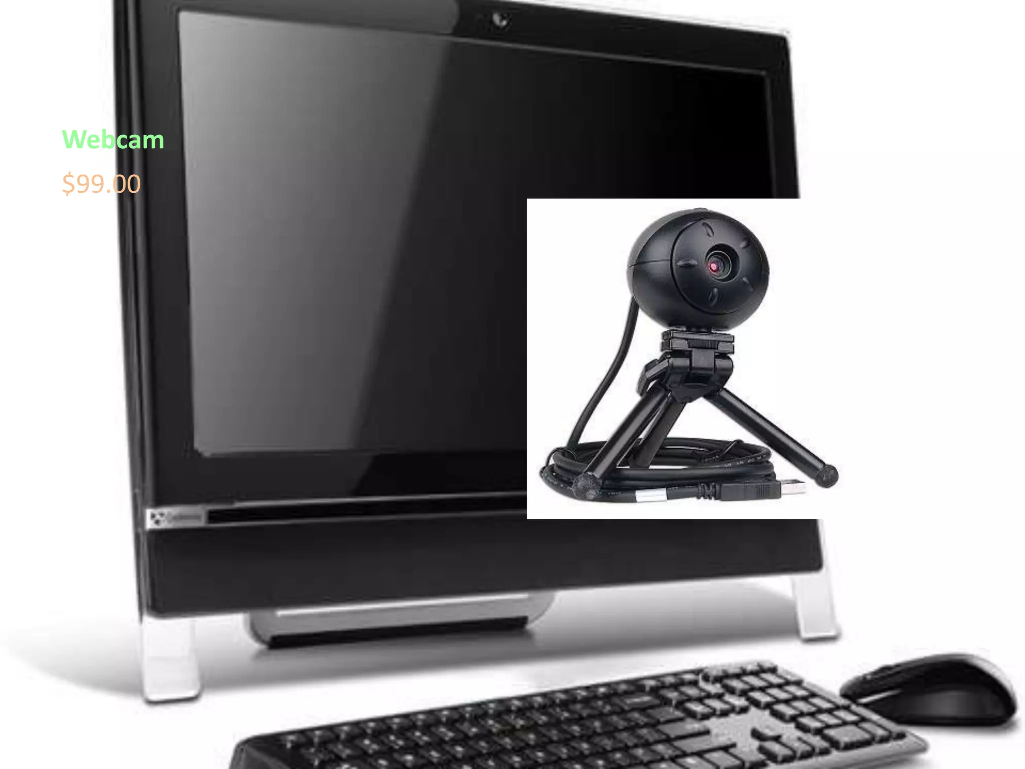 Webcam$99.00