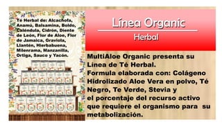 MultiAloe Organic presenta su
Línea de Té Herbal.
Formula elaborada con: Colágeno
Hidrolizado Aloe Vera en polvo, Té
Negro, Te Verde, Stevia y
el porcentaje del recurso activo
que requiere el organismo para su
metabolización.
Té Herbal de: Alcachofa,
Anamú, Balsamina, Boldo,
Caléndula, Cidrón, Diente
de León, Flor de Aloe, Flor
de Jamaica, Graviola,
Llantén, Hierbabuena,
Milenrama, Manzanilla,
Ortiga, Sauco y Yacón.
 