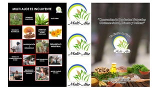 Multialoe   2018   CATALOGO 