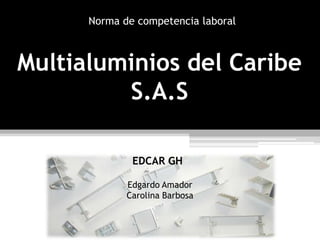 Norma de competencia laboral

Multialuminios del Caribe
S.A.S
EDCAR GH
Edgardo Amador
Carolina Barbosa

 