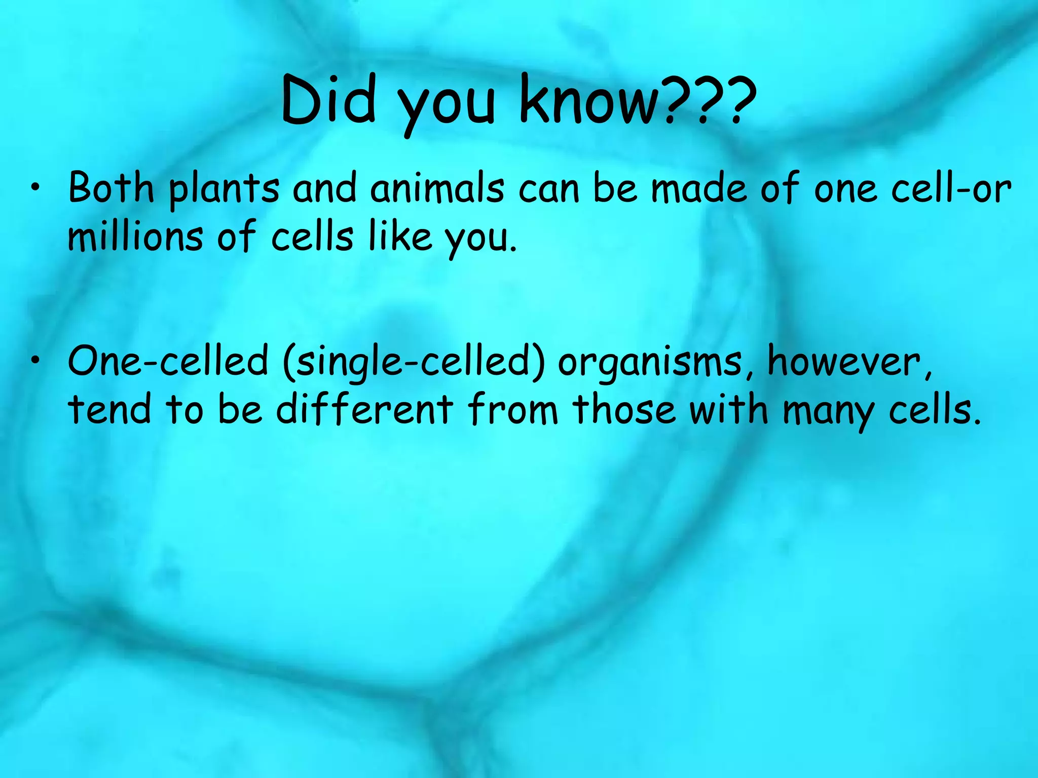 Multi and single celled organisms comparisons | PPT