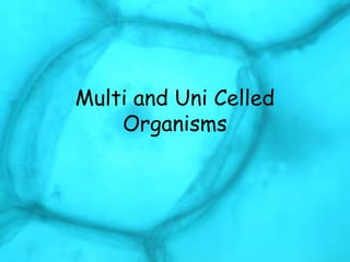 Multi and Uni Celled
Organisms
 