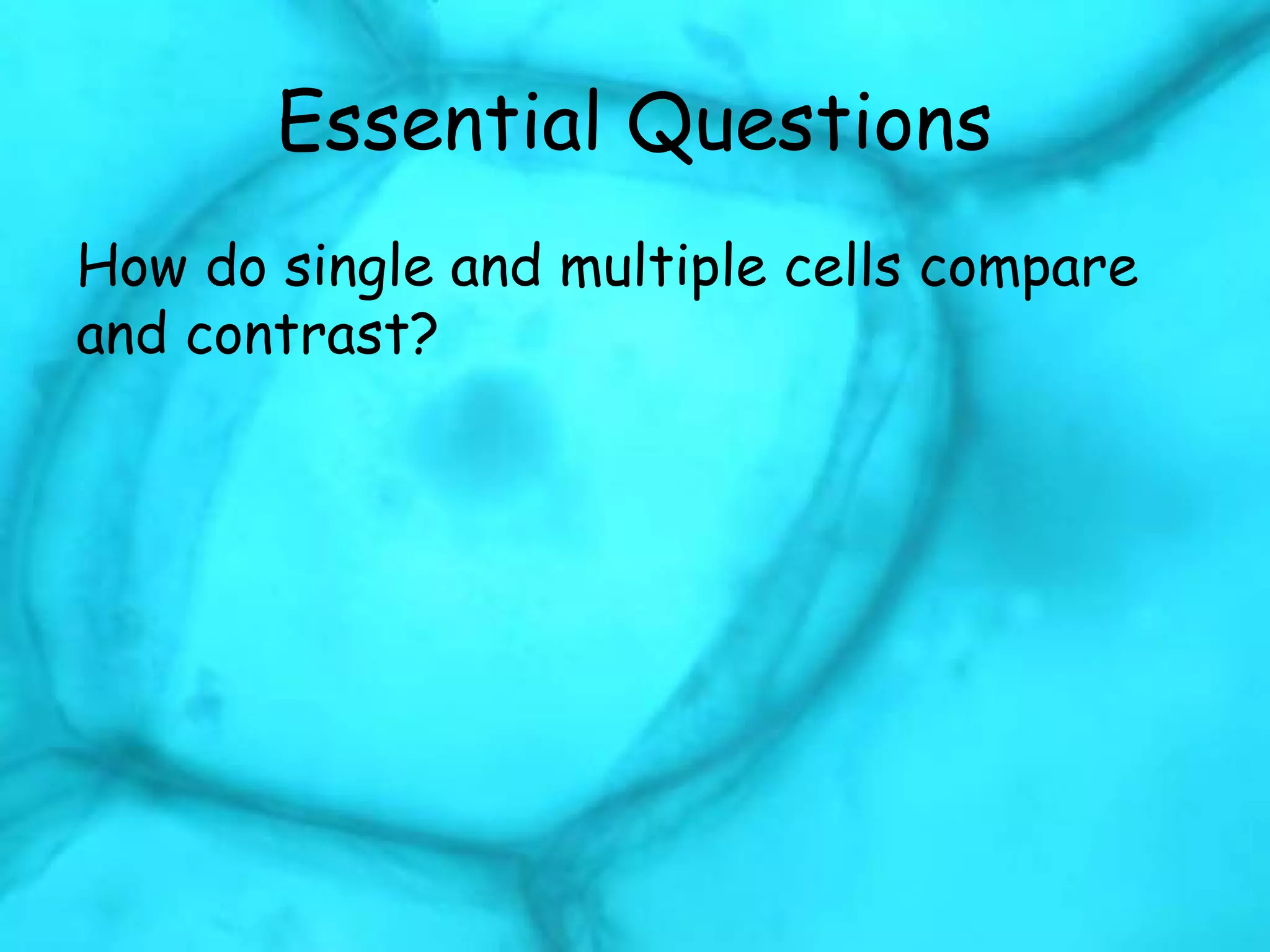 Essential Questions
How do single and multiple cells compare
and contrast?
 