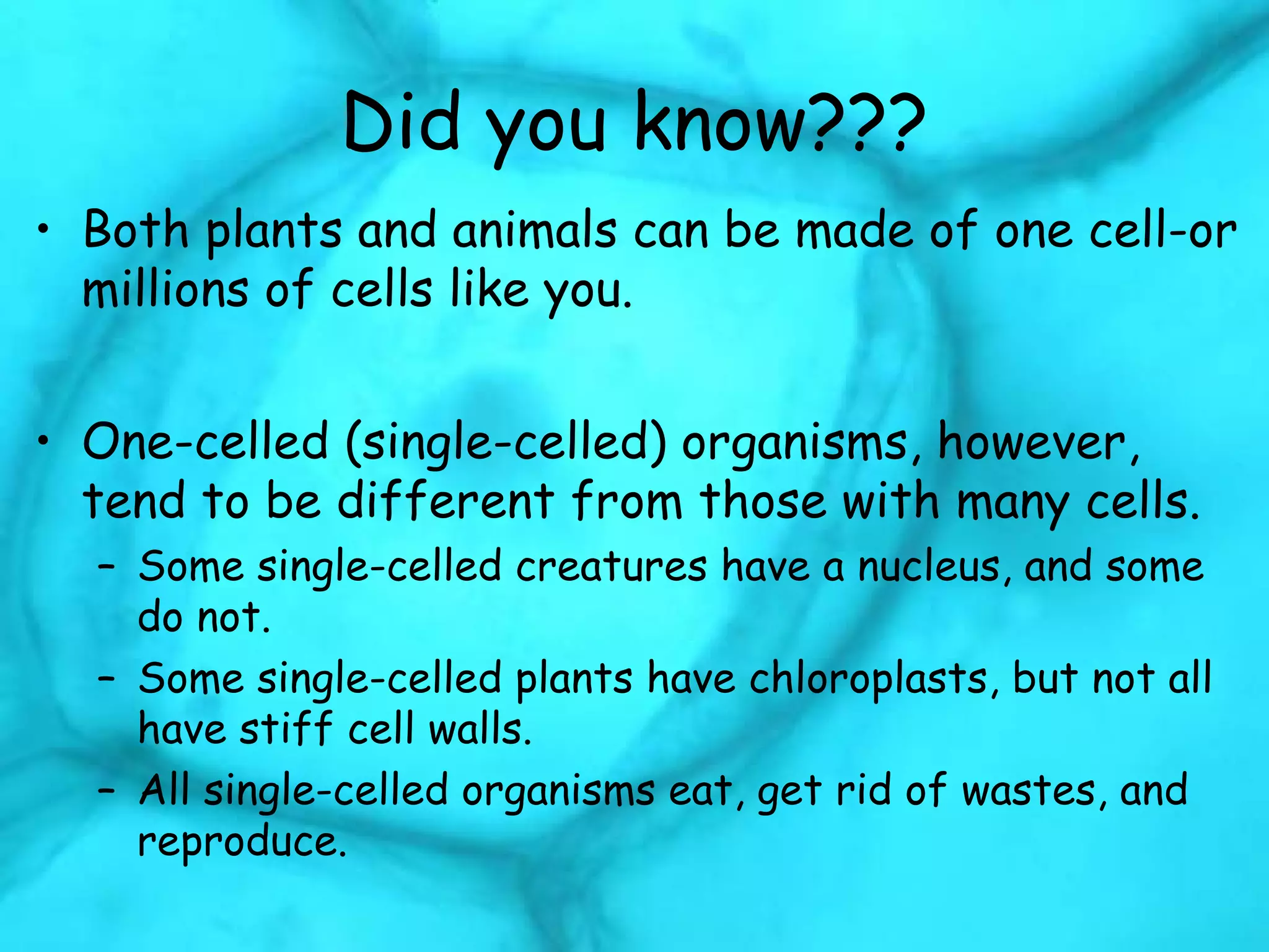 Did you know???
• Both plants and animals can be made of one cell-or
millions of cells like you.
• One-celled (single-celled) organisms, however,
tend to be different from those with many cells.
– Some single-celled creatures have a nucleus, and some
do not.
– Some single-celled plants have chloroplasts, but not all
have stiff cell walls.
– All single-celled organisms eat, get rid of wastes, and
reproduce.
 
