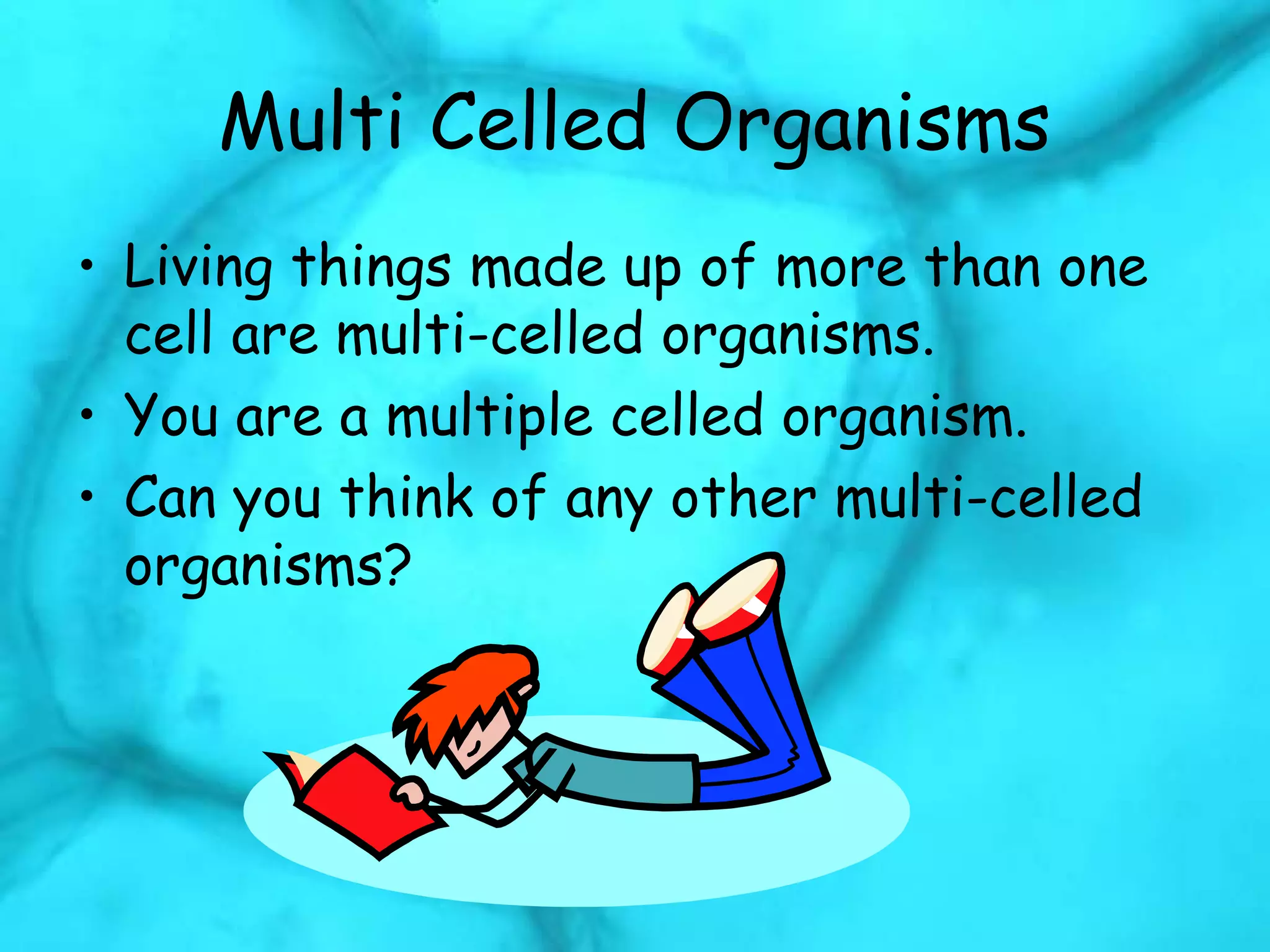 Multi Celled Organisms
• Living things made up of more than one
cell are multi-celled organisms.
• You are a multiple celled organism.
• Can you think of any other multi-celled
organisms?
 