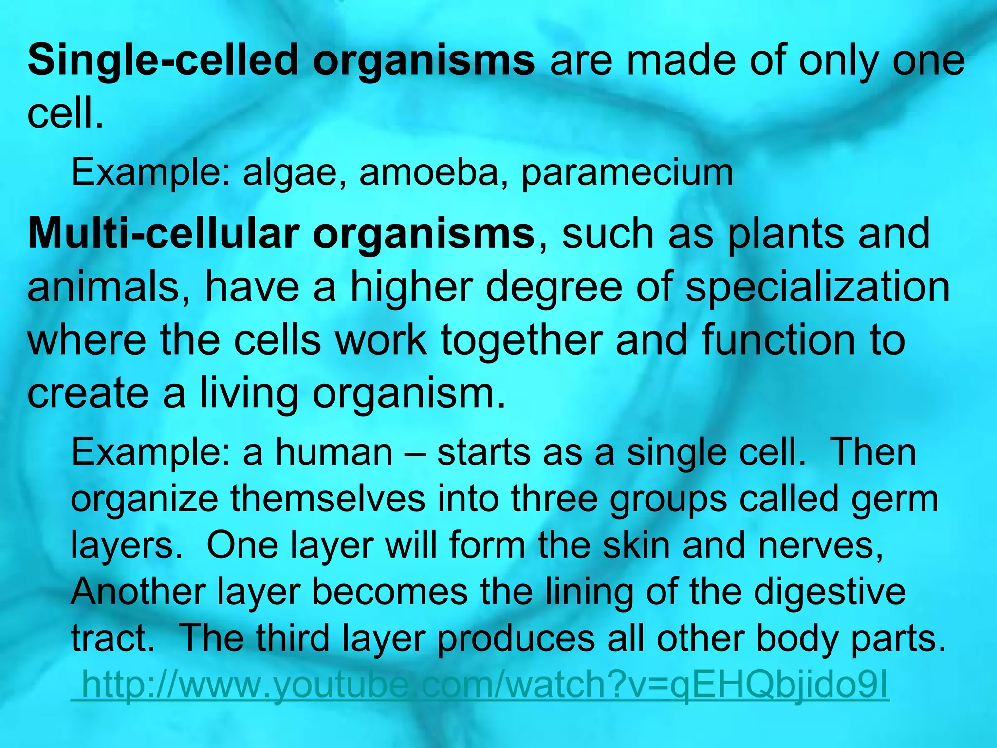Single-celled organisms are made of only one
cell.
Example: algae, amoeba, paramecium
Multi-cellular organisms, such as plants and
animals, have a higher degree of specialization
where the cells work together and function to
create a living organism.
Example: a human – starts as a single cell. Then
organize themselves into three groups called germ
layers. One layer will form the skin and nerves,
Another layer becomes the lining of the digestive
tract. The third layer produces all other body parts.
http://www.youtube.com/watch?v=qEHQbjido9I
 