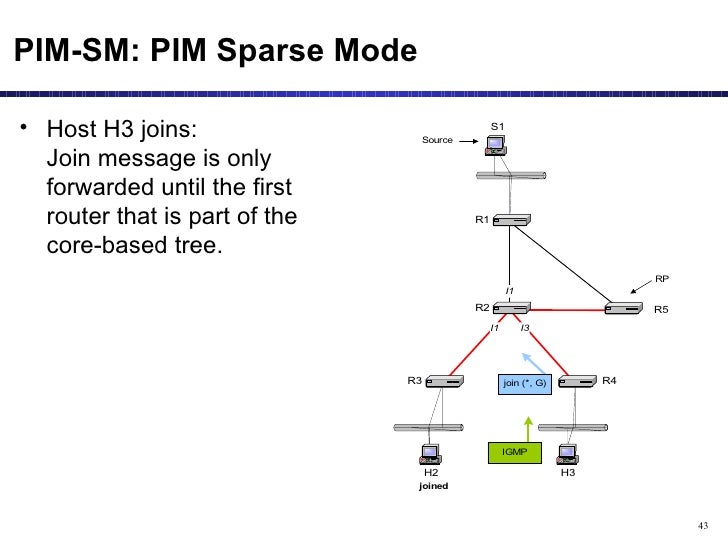 Multicast Routing Protocols