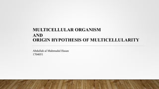 MULTICELLULAR ORGANISM
AND
ORIGIN HYPOTHESIS OF MULTICELLULARITY
Abdullah al Mahmudul Hasan
1704051
 