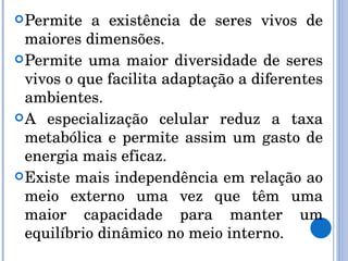 Permite a existência de seres vivos de maiores dimensões. Permite uma maior diversidade de seres vivos o que facilita adaptação a diferentes ambientes. A especialização celular reduz a taxa metabólica e permite assim um gasto de energia mais eficaz. Existe mais independência em relação ao meio externo uma vez que têm uma maior capacidade para manter um equilíbrio dinâmico no meio interno. 