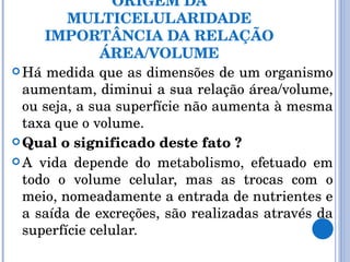     ORIGEM DA MULTICELULARIDADE IMPORTÂNCIA DA RELAÇÃO ÁREA/VOLUME Há medida que as dimensões de um organismo aumentam, diminui a sua relação área/volume, ou seja, a sua superfície não aumenta à mesma taxa que o volume. Qual o significado deste fato ? A vida depende do metabolismo, efetuado em todo o volume celular, mas as trocas com o meio, nomeadamente a entrada de nutrientes e a saída de excreções, são realizadas através da superfície celular.  