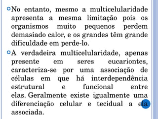 No entanto, mesmo a multicelularidade apresenta a mesma limitação pois os organismos muito pequenos perdem demasiado calor, e os grandes têm grande dificuldade em perde-lo.  A verdadeira multicelularidade, apenas presente em seres eucariontes, caracteriza-se por uma associação de células em que há interdependência estrutural e funcional entre elas. Geralmente existe igualmente uma diferenciação celular e tecidual a ela associada. 