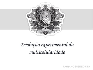 Evolução experimental da
multicelularidade
FABIANO MENEGIDIO
 