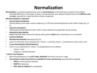 Multiclass_Brain_Tumor_Diagnosis_Pipeline.pptx