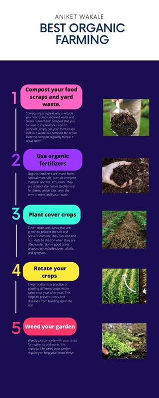 Multicolor Illustrated Design Process Timeline Infographic.pdf