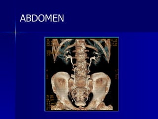 ABDOMEN 