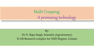 Multi Cropping:
A promising technology
By:
Dr N. Raju Singh, Scientist (Agroforestry)
ICAR Research complex for NEH Region, Umiam
 