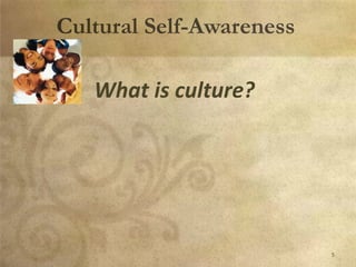 Multicultural Advising Presentation | PPTX