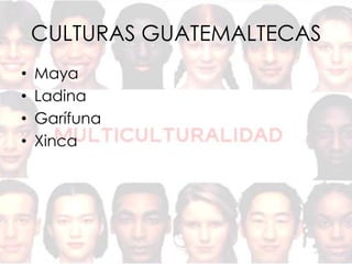CULTURAS GUATEMALTECAS
•   Maya
•   Ladina
•   Garífuna
•   Xinca
 