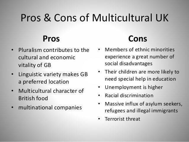 The Pros And Cons Of Immigration