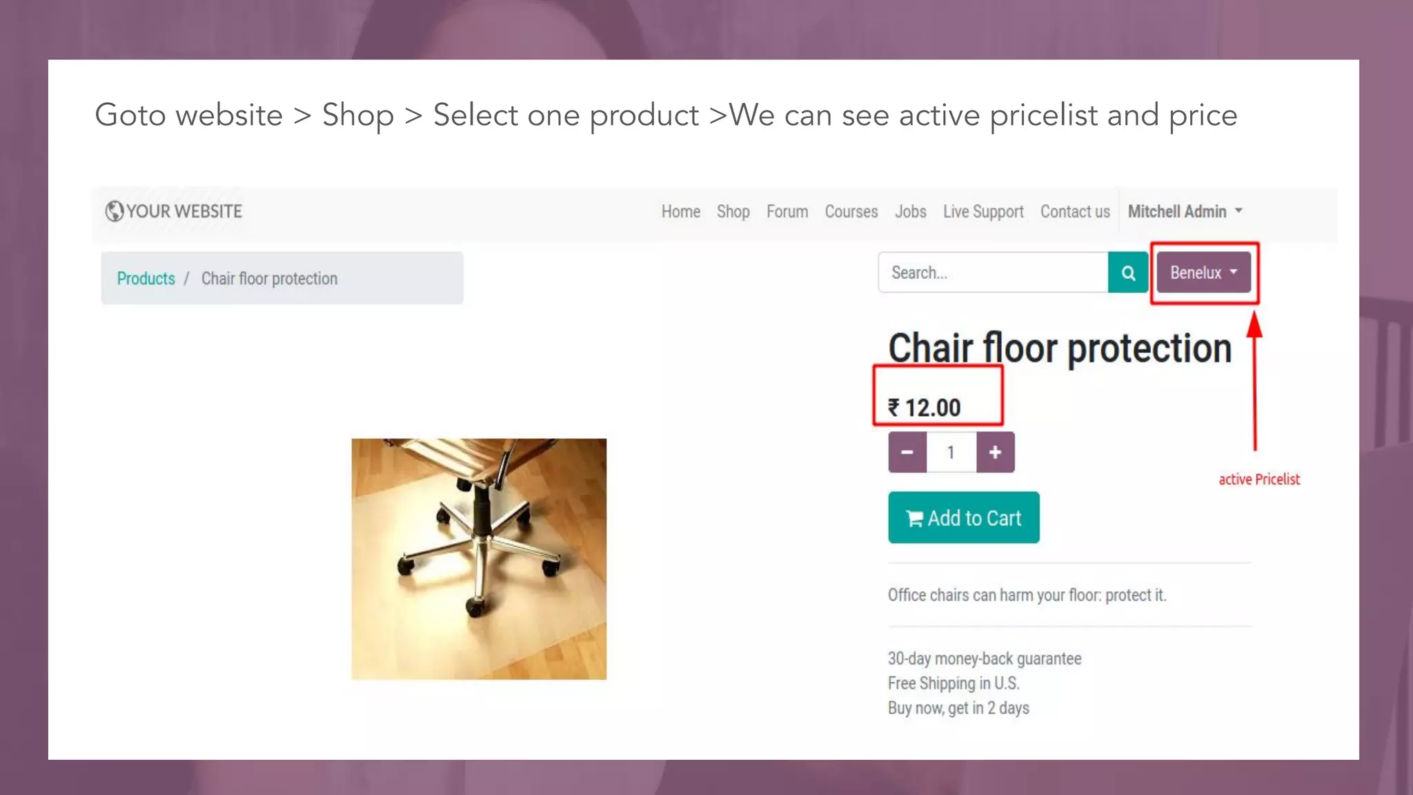Goto website > Shop > Select one product >We can see active pricelist and price