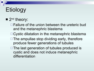Etiology 2 nd  theory: Failure of the union between the ureteric bud and the metanephric blastema Cystic dilatation in the metanephric blastema The ampullae stop dividing early, therefore produce fewer generations of tubules  The last generation of tubules produced is cystic and does not induce metanephric differentiation  