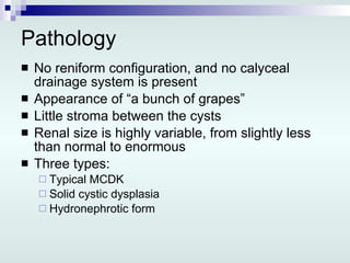 Pathology No reniform configuration, and no calyceal drainage system is present Appearance of “a bunch of grapes” Little stroma between the cysts Renal size is highly variable, from slightly less than normal to enormous Three types: Typical MCDK Solid cystic dysplasia Hydronephrotic form  