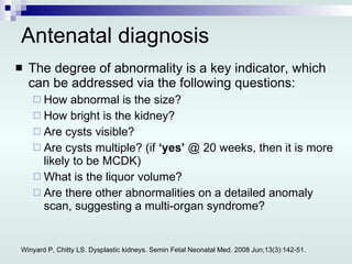 Antenatal diagnosis The degree of abnormality is a key indicator, which can be addressed via the following questions: How abnormal is the size? How bright is the kidney?  Are cysts visible? Are cysts multiple? (if  ‘yes’  @ 20 weeks, then it is more likely to be MCDK) What is the liquor volume? Are there other abnormalities on a detailed anomaly scan, suggesting a multi-organ syndrome? Winyard P, Chitty LS. Dysplastic kidneys. Semin Fetal Neonatal Med. 2008 Jun;13(3):142-51. 