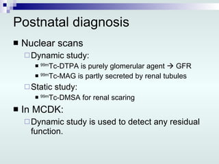 Postnatal diagnosis Nuclear scans Dynamic study: 99m Tc-DTPA is purely glomerular agent    GFR 99m Tc-MAG is partly secreted by renal tubules Static study: 99m Tc-DMSA for renal scaring In MCDK:  Dynamic study is used to detect any residual function. 
