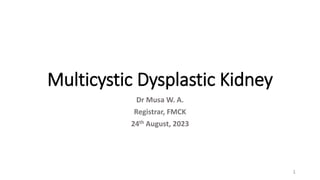 Multicystic Dysplastic Kidney
Dr Musa W. A.
Registrar, FMCK
24th August, 2023
1
 