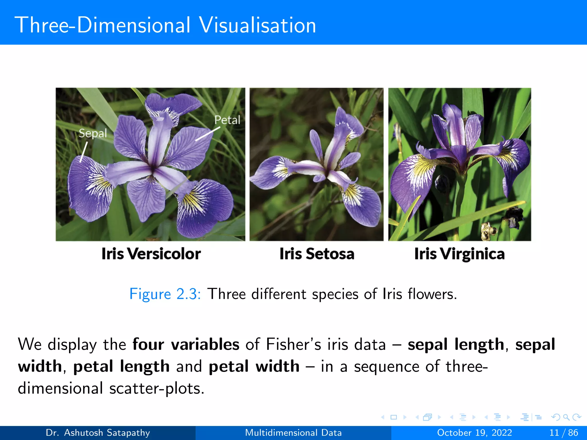 Three-Dimensional Visualisation
Figure 2.3: Three different species of Iris flowers.
We display the four variables of Fisher’s iris data – sepal length, sepal
width, petal length and petal width – in a sequence of three-
dimensional scatter-plots.
Dr. Ashutosh Satapathy Multidimensional Data October 19, 2022 11 / 86
 