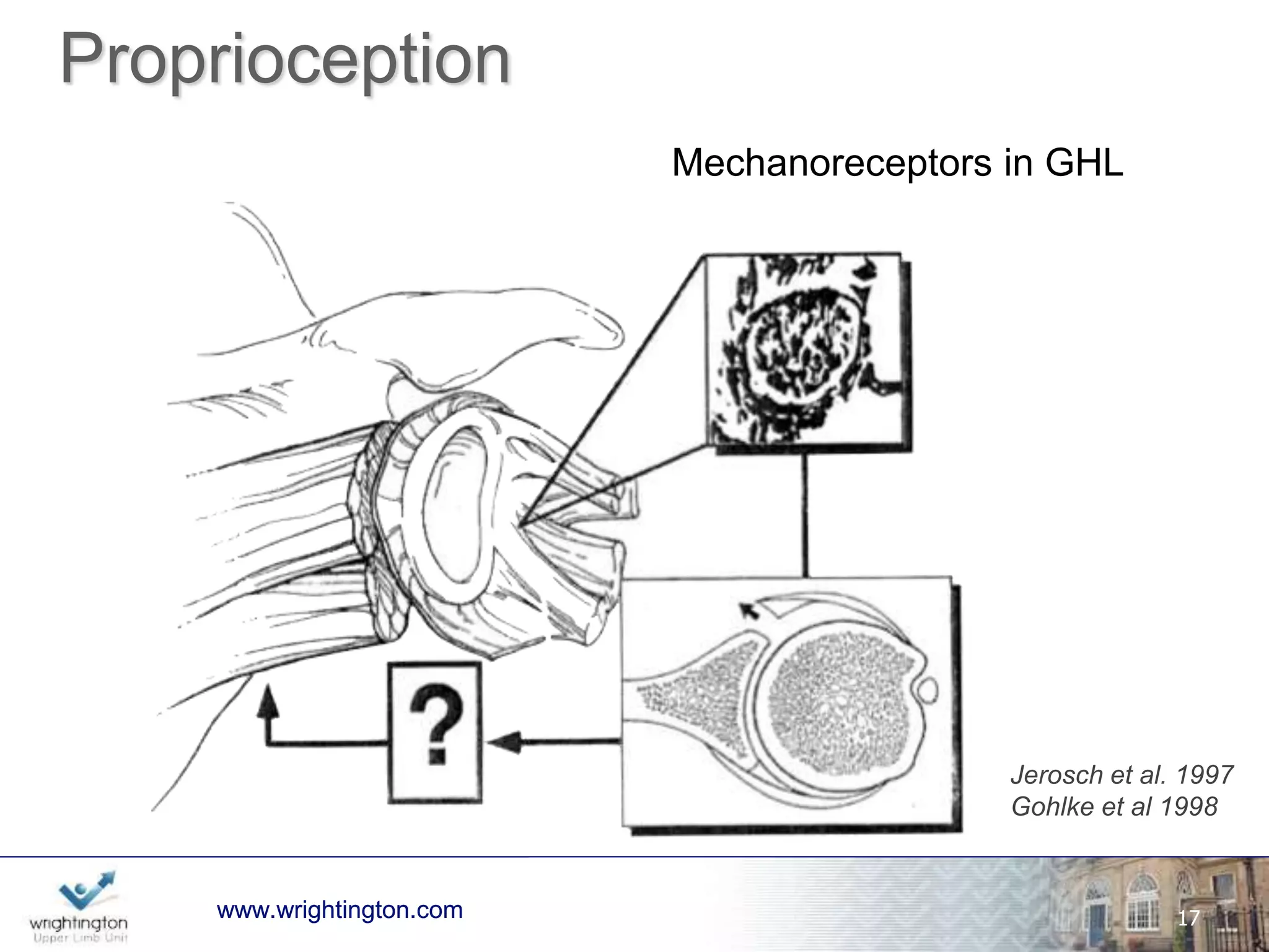 Capsular Plication / Shift 
www.wrightington.com 
17 
 