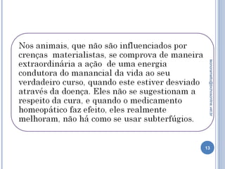 13
leonoramello@bichosonline.vet.br
 