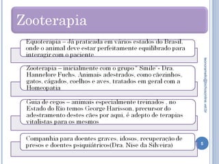 5
leonoramello@bichosonline.vet.br
 